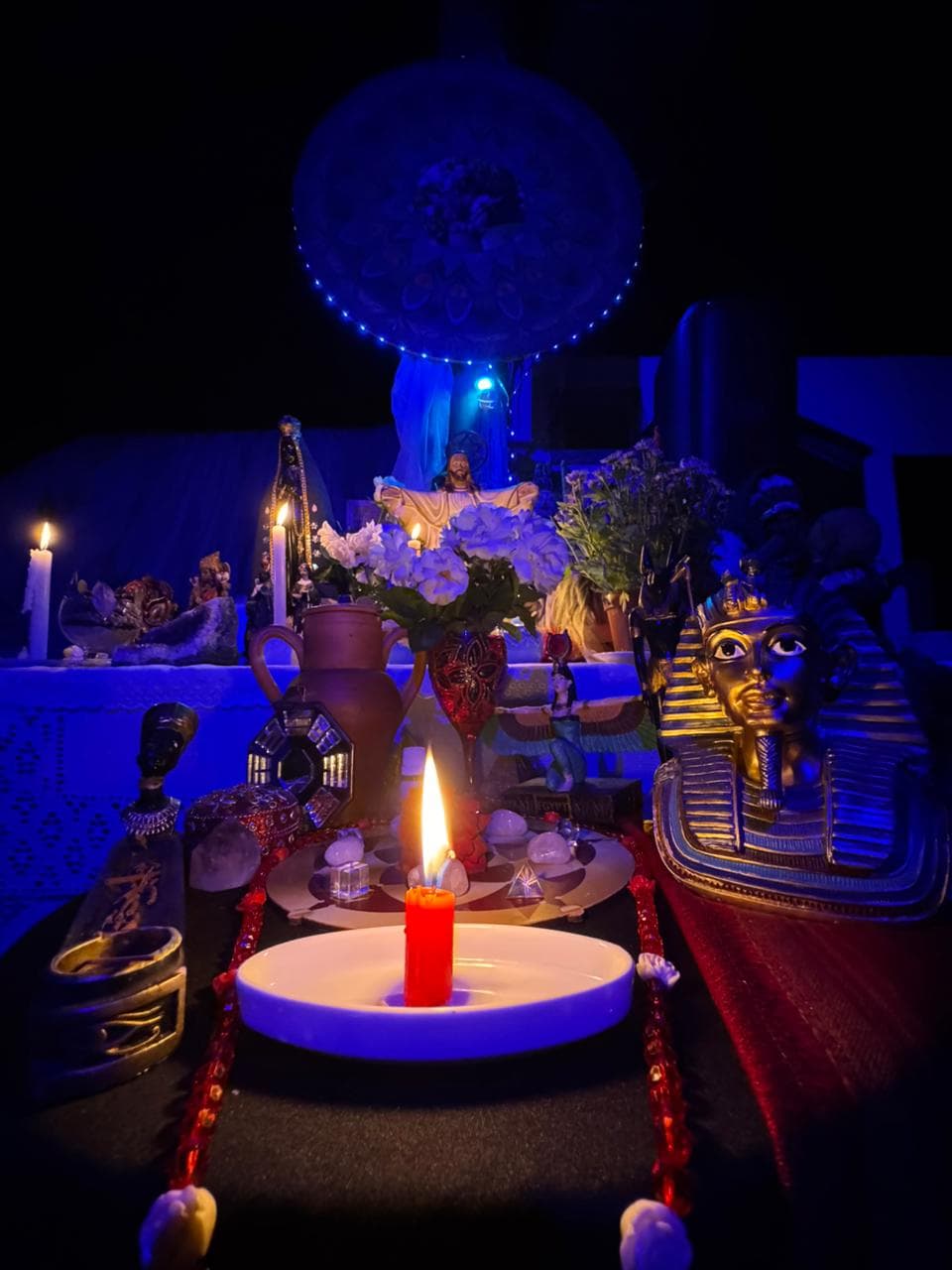 Caminho das Rosas — foto 30