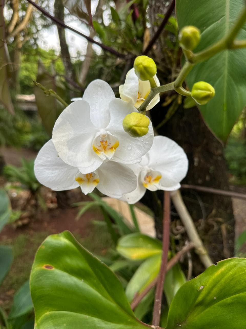  Inspiração — foto 15